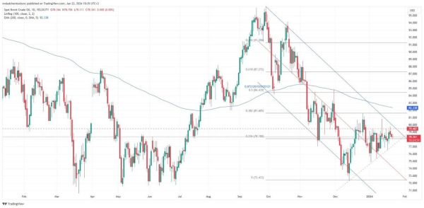 На рынке нефти доминируют экономические факторы